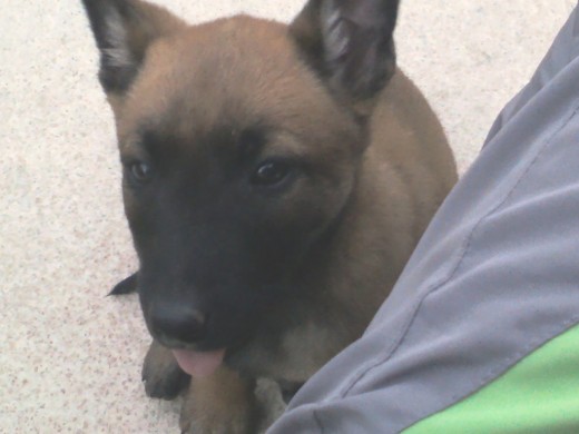 Chula,2 meses Chula,2 meses