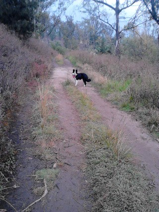 haciendo trail running, la mejor compañera