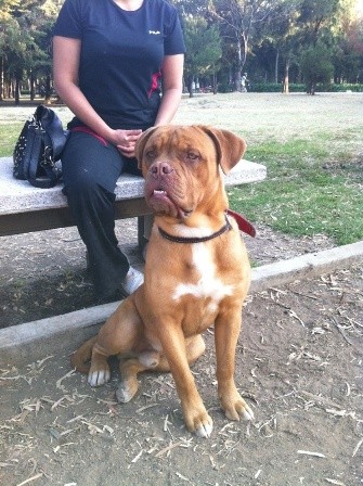 Chato en el parque!!!