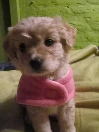 Foto de 2 MESES.....