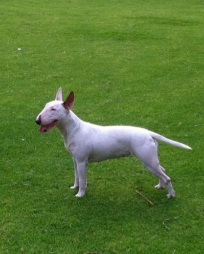 Lolita con 10 meses!! =) Lolita con 10 meses!! =)