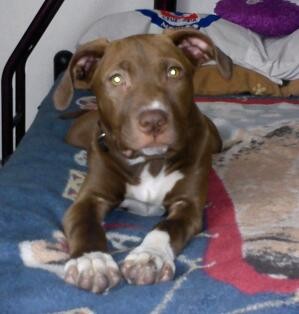 Mi nuevo bb, aqui de 4 meses! ♥♥♥