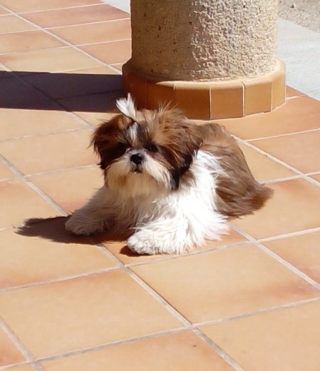 Mi nena Mi nena