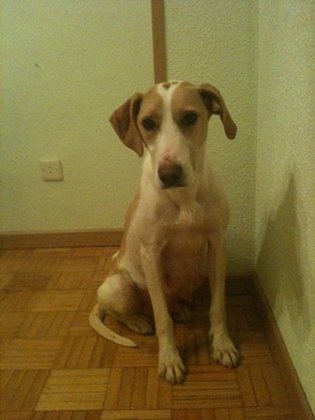 Willma Willma