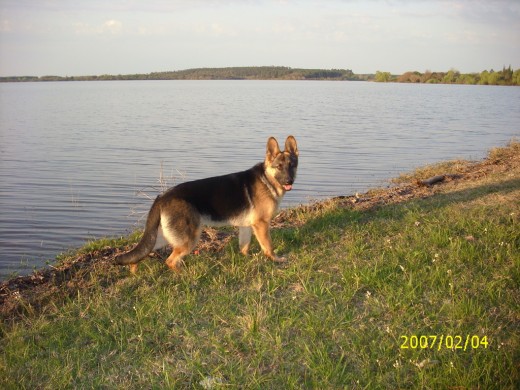 De paseo por el Parque del Lago.-