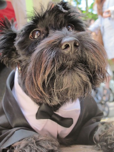 Mi nombre es Bond... Mi nombre es Bond...