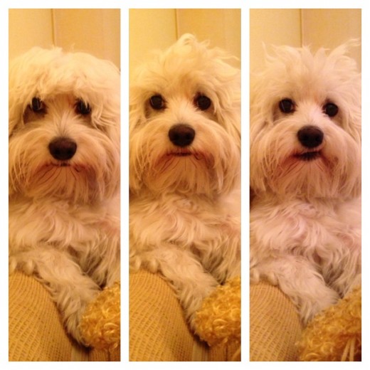 Os presento a Ken :) Os presento a Ken :)