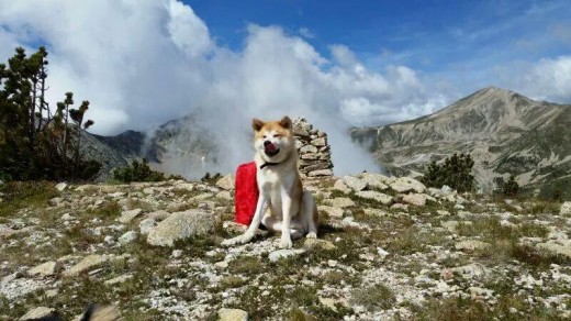 Hiroki haciendo cima en vallter2000