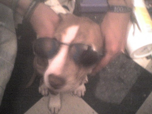haha yeah!! con mi can