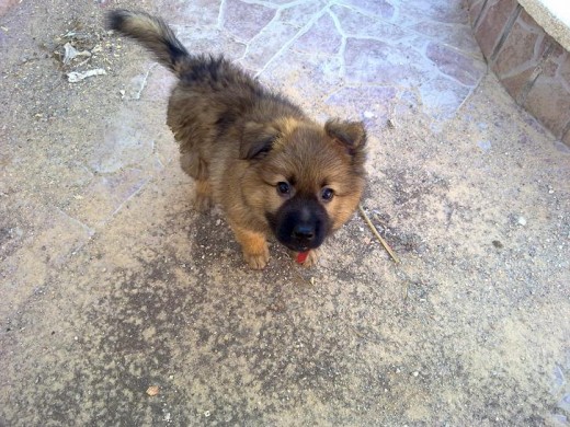 Mi gorda en el campo!¿A que es un amor? x3