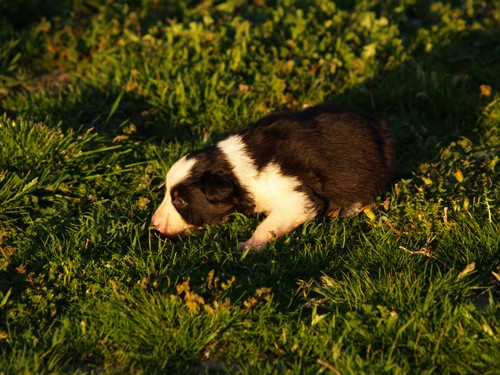 Primera salida del gordito.