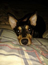 MI MURIEL HERMOSA