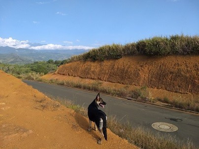 Paseo de fin de semana