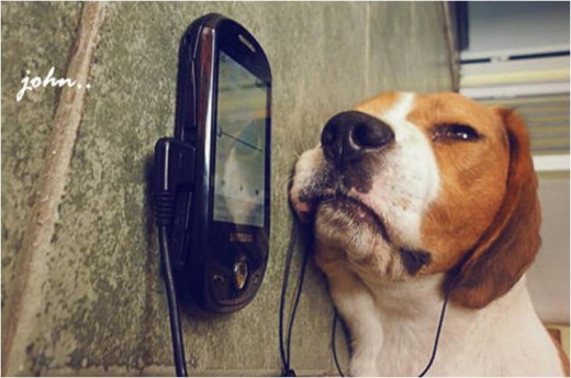 escuchando musica :P escuchando musica :P