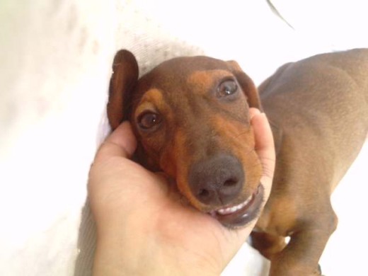 Sonrisa PROFIDENT! Sonrisa PROFIDENT!