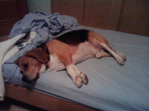 Durmiendo Durmiendo