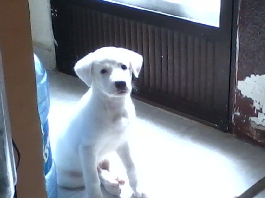 Mi bebé<3 ¿Hermoso,verdad?
