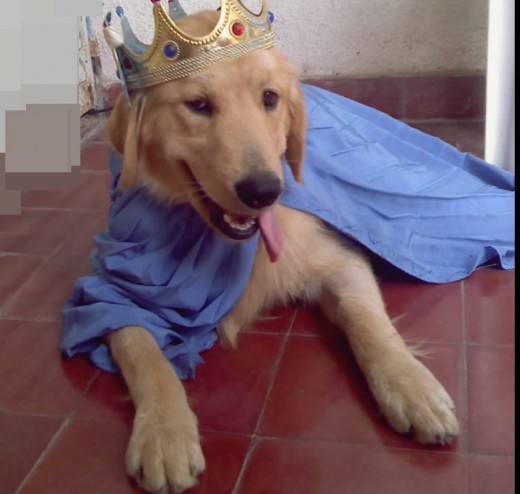 Jagger Vestido de Rey ♥