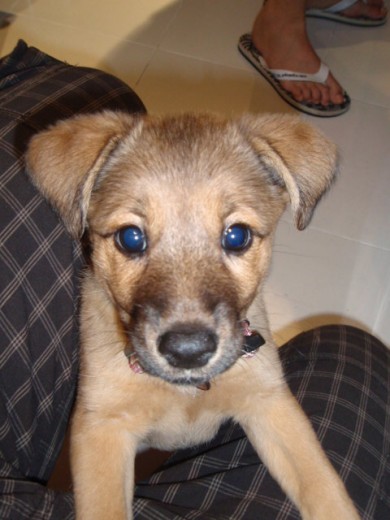 Con apenas 3 meses Con apenas 3 meses
