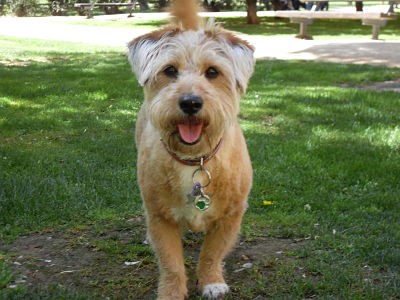 Yuka en el parque!