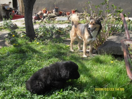 Roy y Danna Roy y Danna