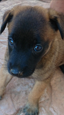 1 mes 1 mes