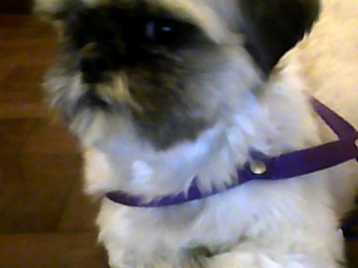 miren su carita... miren su carita...