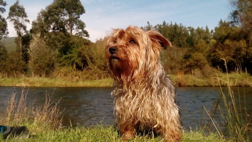 En lo que mas disfruta, ir de paseo a la naturaleza