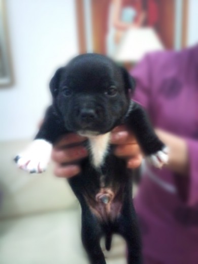 Este es mi campeon :) Este es mi campeon :)