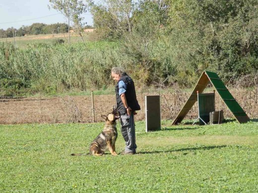 Gracias LEO (Leonardo Paonessa) por haberte conocido y ADIESTRAR a UVE y a mi.....