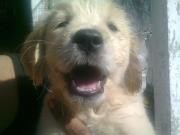 se riee!! se riee!!