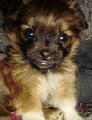 mi tiberthcito mi tiberthcito