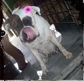 Te adoro mi viejita <3 Te adoro mi viejita <3
