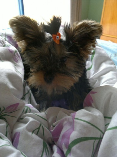 Ella es mi hijita Constanza... es el amor de mi vida! 