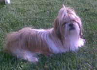 duna tomando el sol duna tomando el sol