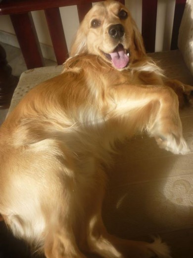 El amor de mi vida! 