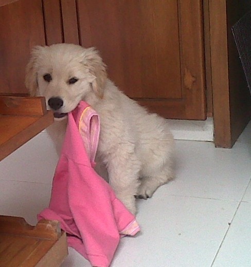 3 Meses de hanna jugando con su ropa !