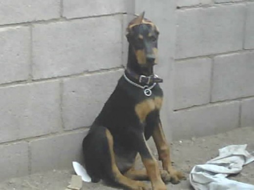 JACK