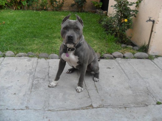 la gordaa!!! :) la gordaa!!! :)