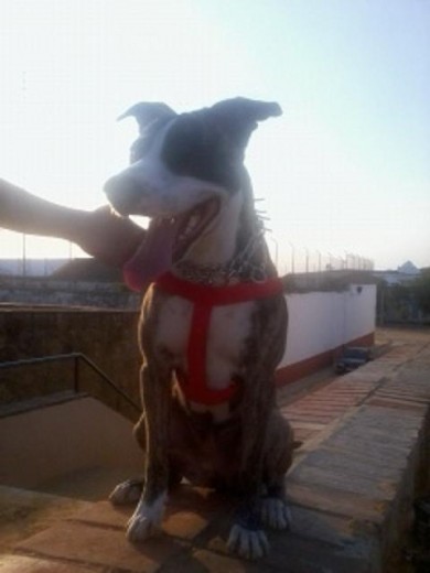 mi luna con 10 meses mi luna con 10 meses