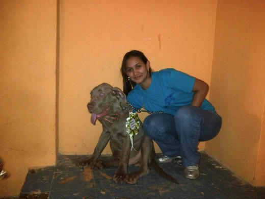 Maximo Gano como mejor ejemplar cachorro en la 1era exposicion canina de Zaraza edo. Guarico. 