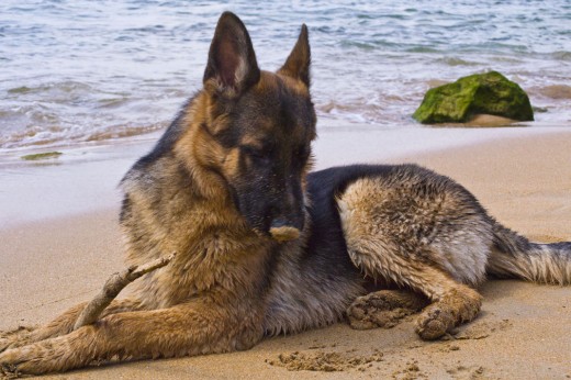 de vacaciones en la playa