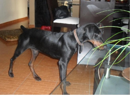 Max, 5 meses :) Max, 5 meses :)
