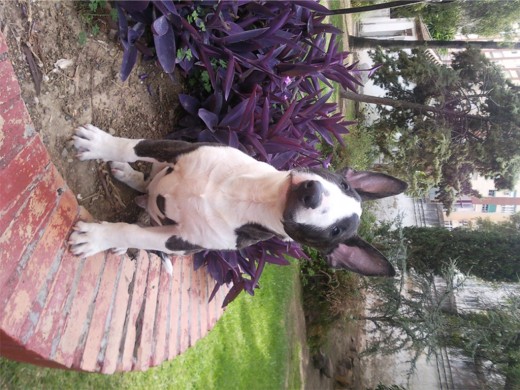 Hurko con 3 meses! xD Hurko con 3 meses! xD