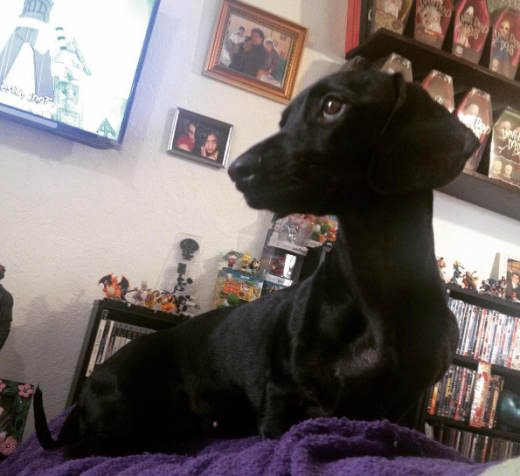 #SoyMIna