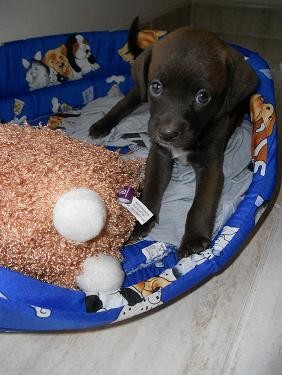 Lola en su camita