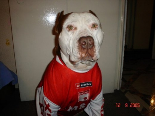 Con la camiseta de un equipo bogotano.