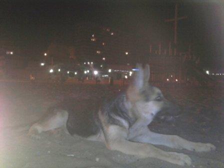 y solo tiene 4 meses en esa foto jejejejeje