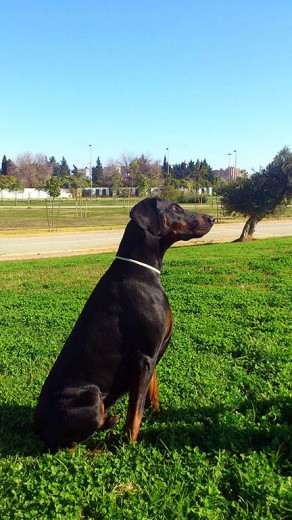 Neo en el parque