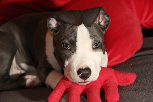 Monty <3 Monty <3